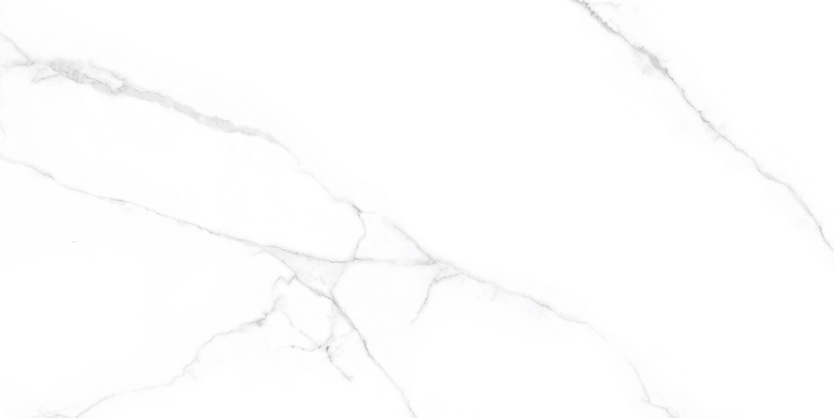 Керамогранит "Ennface" Arizona (1200*600 мм) Белый — купить в Чите