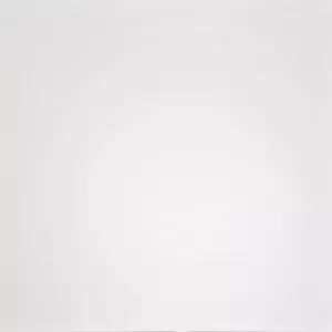 Керамогранит Домино (Domino) 600*600 белый G-100/MR — купить в Чите