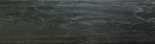 Ламинат "Profield" Prestige Черное дерево (1215*167*12) — купить в Чите
