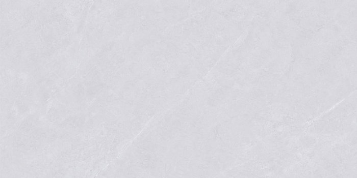 Керамогранит "Wan Sheng" Glazed (1200*600 мм) Серый D12620 — купить в Чите