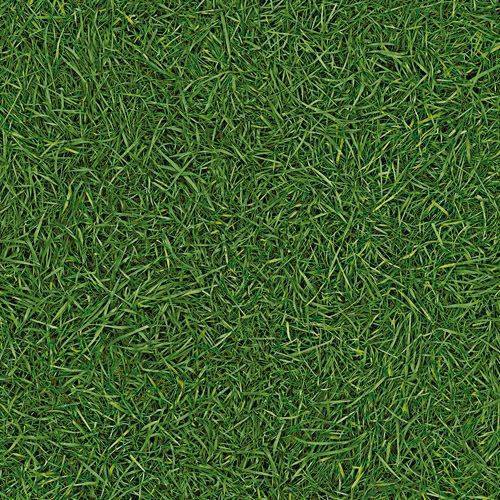 Линолеум бытовой "IVC" Neo Grass 25 (4м) — купить в Чите