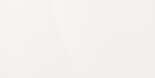 Керамогранит "Уральский Гранит" Палитра (1200*600 мм) Белый UF001PR — купить в Чите