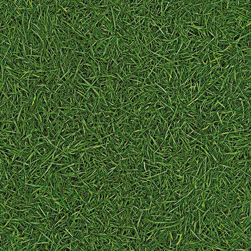Линолеум бытовой "IVC" Bingo Grass 25 (3м) — купить в Чите