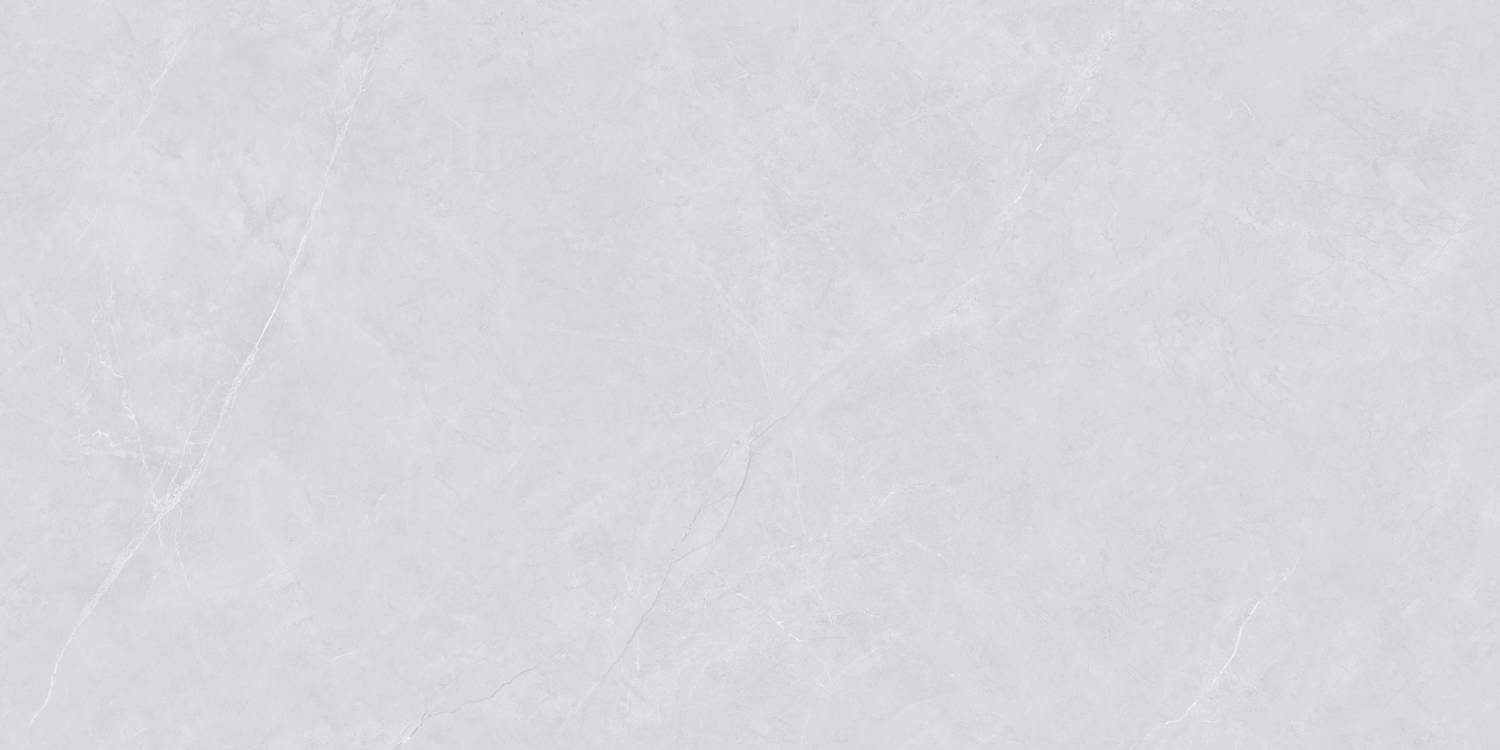 Керамогранит "Wan Sheng" Glazed (1200*600 мм) Серый D12620 — купить в Чите