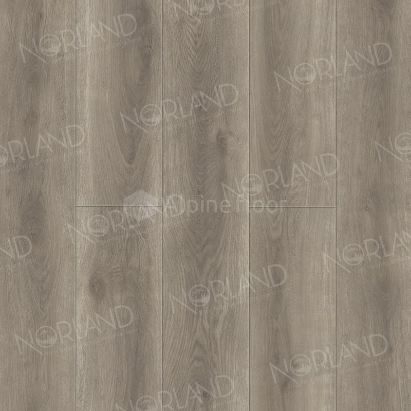 SPC Ламинат "Norland" Templet (1220*196*8 мм) — купить в Чите