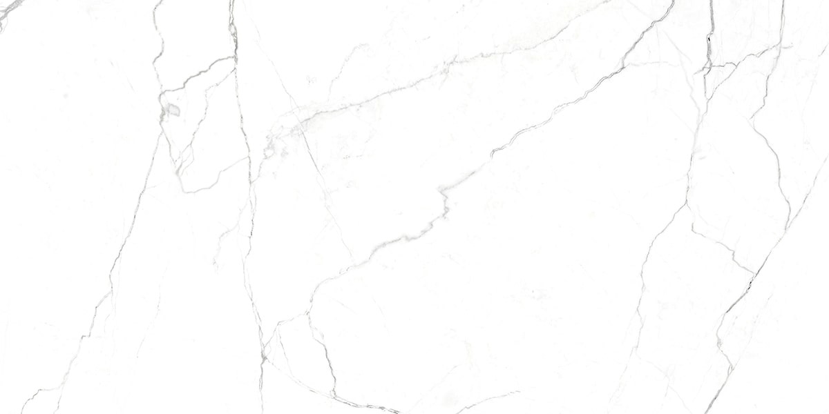 Керамогранит "Гранитея" 600*1200 Neiva Элегантный Матовый Белый — купить в Чите