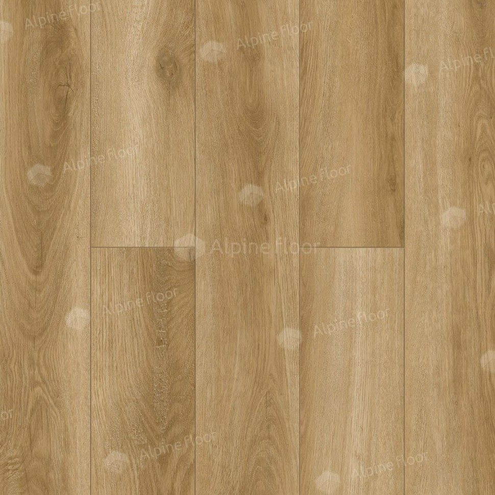 Ламинат "Alpine Floor" Intensity Дуб Генуя (1218*198*12 мм) — купить в Чите