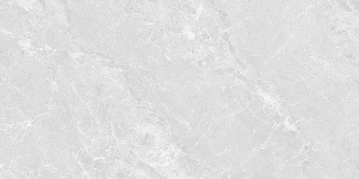 Керамогранит "Wan Sheng" Butterfly (1200*600 мм) Серый — купить в Чите