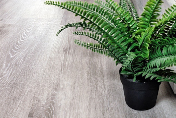 Замковая ПВХ плитка "Alpine Floor" Ясень Серый  (1220*183*4мм) — фото и характеристики