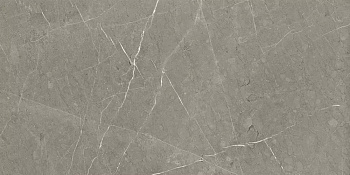 Керамогранит Skala (Скала) 600*1200*10 темно-серый K-2202/MR — фото и характеристики