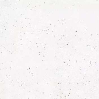Керамогранит Гранелла (Granella) 600*600 белый G-40/MR — фото и характеристики